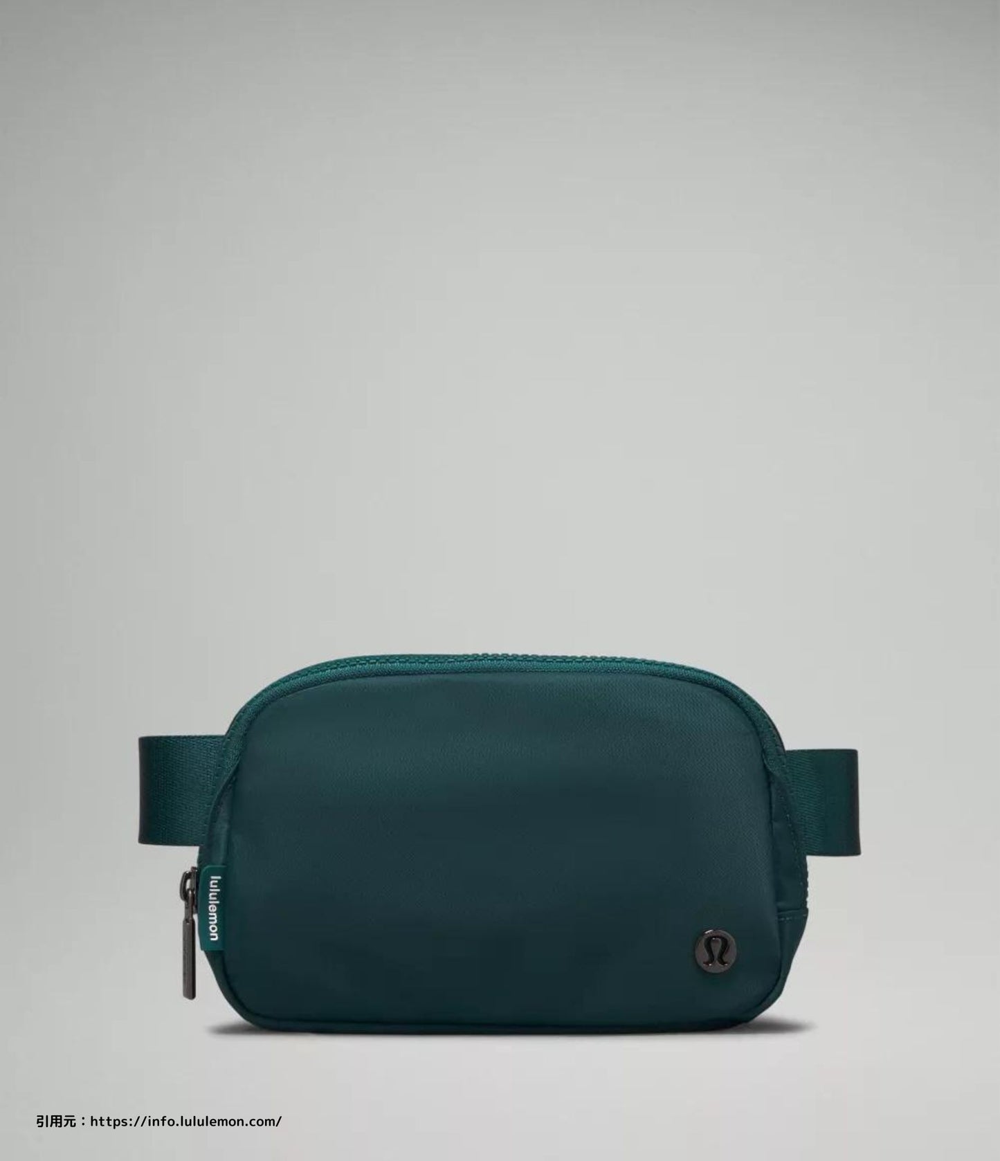 エブリウェアー ベルト バック 1L (Everywhere Belt Bag 1L)