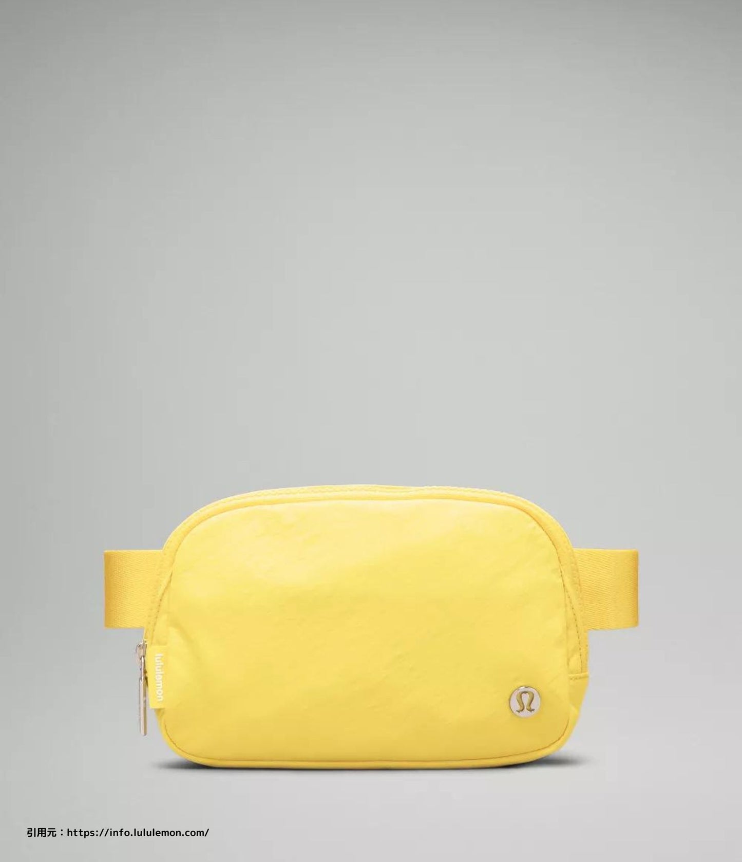 エブリウェアー ベルト バック 1L (Everywhere Belt Bag 1L)